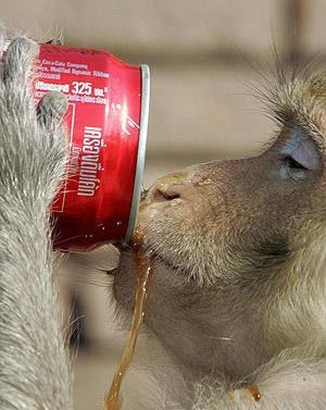 Những lễ hội kỳ quặc nhất hành tinh - 9