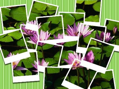10 website dựng hình ảnh ngộ nghĩnh, vui nhộn - 5 10 website dựng hình ảnh ngộ nghĩnh, vui nhộn - 5