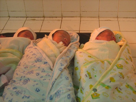 Một ca sinh 3 hiếm hoi ở Hà Tĩnh - 1