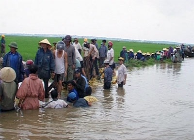 Mưa lớn dọa vỡ đê, hàng nghìn ha lúa ngập trong nước - 1