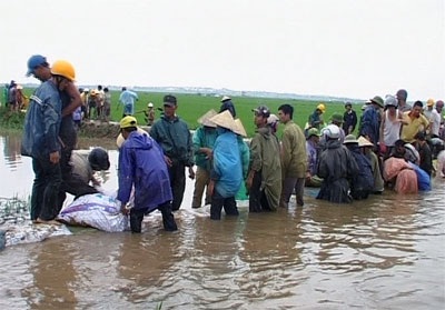 Mưa lớn dọa vỡ đê, hàng nghìn ha lúa ngập trong nước - 2