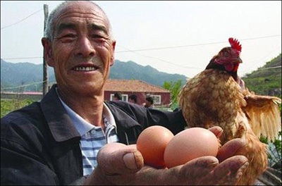 Gà có 2 …hậu môn - 1 Gà có 2 …hậu môn - 1