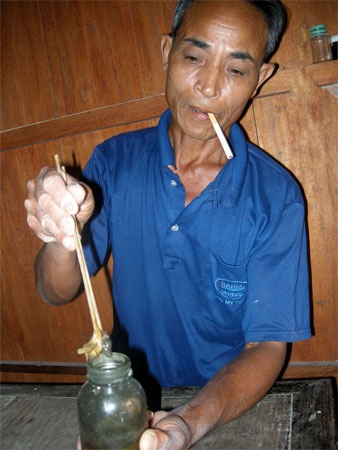 Chuyện khó tin về người ăn gan, mật cóc tươi - 1 Chuyện khó tin về người ăn gan, mật cóc tươi - 1