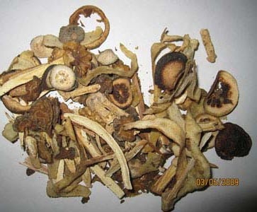 "Bốc thuốc" đẻ con trai!? - 1 "Bốc thuốc" đẻ con trai!? - 1
