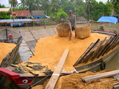 Vỏ trấu ngập mặt sông - 2 Vỏ trấu ngập mặt sông - 2