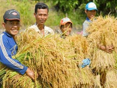 Quốc hội không “ngồi xem” khủng hoảng - 1 Quốc hội không “ngồi xem” khủng hoảng - 1