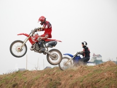 “Cào cào bay” tại Việt Nam  - 1