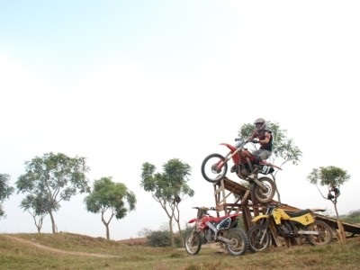 “Cào cào bay” tại Việt Nam  - 3