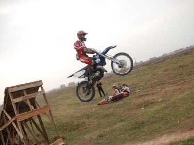 “Cào cào bay” tại Việt Nam  - 2