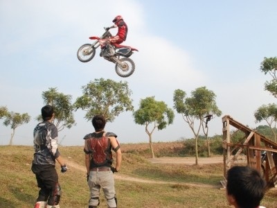 “Cào cào bay” tại Việt Nam  - 5