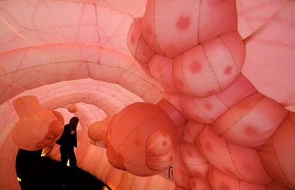 Những hình ảnh ấn tượng trong tuần - 3