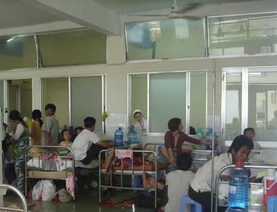 Nhiều dịch bệnh giảm  - 1