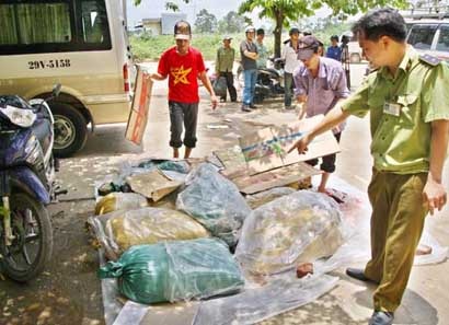 Bắt 2 tấn gà thải, 600kg nội tạng lợn nhập lậu - 1 Bắt 2 tấn gà thải, 600kg nội tạng lợn nhập lậu - 1