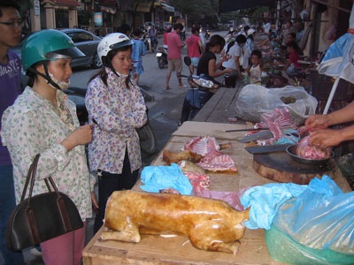 5 mẫu thịt chó dương tính với khuẩn tả  - 1