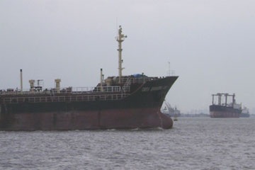 Cảng Sài Gòn cho lưu kho miễn phí để giảm quá tải - 1 Cảng Sài Gòn cho lưu kho miễn phí để giảm quá tải - 1