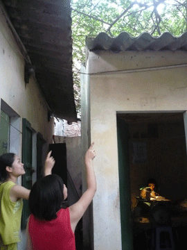 Sinh viên “ăn ngủ” cùng sâu róm - 1