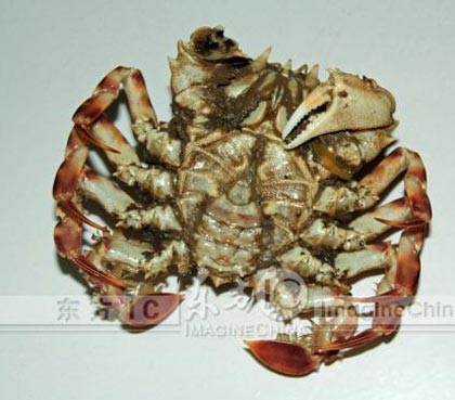 Cua hình mặt người - 4 Cua hình mặt người - 4