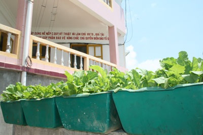 Những “đặc sản” chỉ có ở Trường Sa - 2