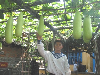 Những “đặc sản” chỉ có ở Trường Sa - 4