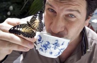 Chùm ảnh: Uống trà cùng các loài bướm - 4 Chùm ảnh: Uống trà cùng các loài bướm - 4