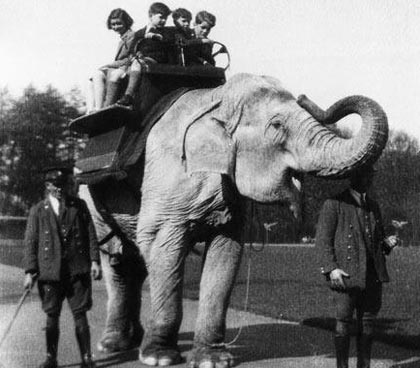 Những bức ảnh chưa từng công bố của gia đình Kennedy - 3 Những bức ảnh chưa từng công bố của gia đình Kennedy - 3