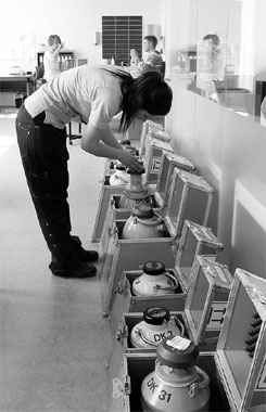 Ngân hàng tinh trùng “miễn nhiễm” khủng hoảng - 1 Ngân hàng tinh trùng “miễn nhiễm” khủng hoảng - 1