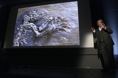 Hóa thạch 47 triệu năm "rọi sáng" về thủy tổ loài người - 1