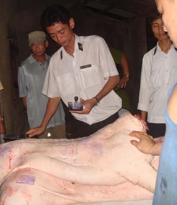 “Đột kích” lò mổ lớn nhất Hà Nội - 2 “Đột kích” lò mổ lớn nhất Hà Nội - 2