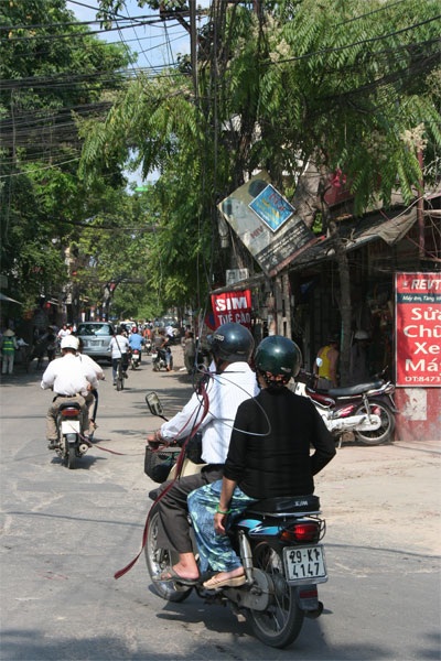 Dây cáp các loại “rình” người trên đường Hoàng Hoa Thám - 4 Dây cáp các loại “rình” người trên đường Hoàng Hoa Thám - 4