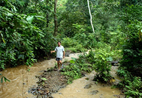 Khu rừng thiêng mang tên Đại tướng Võ Nguyên Giáp - 3 Khu rừng thiêng mang tên Đại tướng Võ Nguyên Giáp - 3
