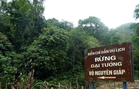 Khu rừng thiêng mang tên Đại tướng Võ Nguyên Giáp - 1 Khu rừng thiêng mang tên Đại tướng Võ Nguyên Giáp - 1