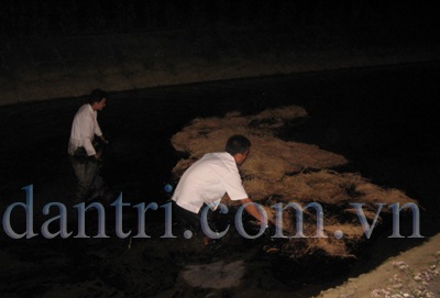 Rò rỉ bể chứa 200 tấn dầu thải, dầu chảy tràn kênh - 2