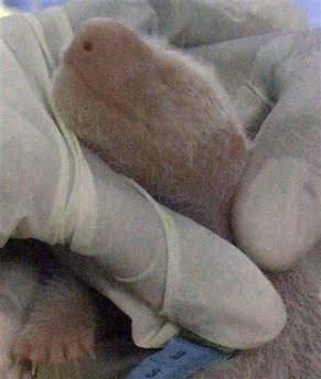 Chùm tin vắn qua ảnh - 5