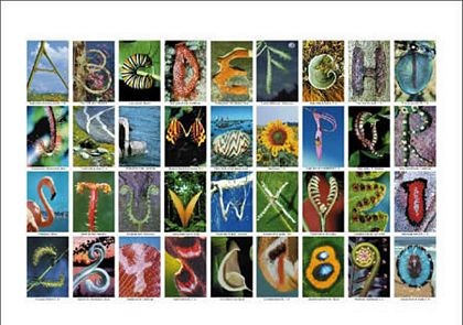 Những bảng chữ cái rất đặc biệt - 4