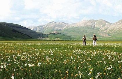 Chùm ảnh: Những sắc màu hoa dại - 2