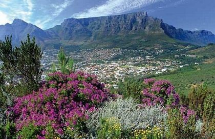 Chùm ảnh: Những sắc màu hoa dại - 3