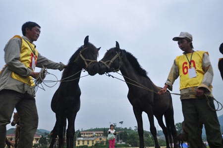 60 kỵ sỹ “chân đất” đọ tài trên núi - 2 60 kỵ sỹ “chân đất” đọ tài trên núi - 2