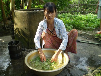 20 năm sống chung với… phân lợn - 1 20 năm sống chung với… phân lợn - 1