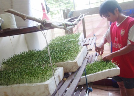 “Ông chủ rau” trên giảng đường - 1 “Ông chủ rau” trên giảng đường - 1