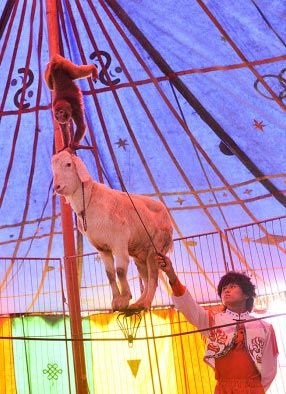 Ảnh kỳ quặc nhất tháng 5 - 6