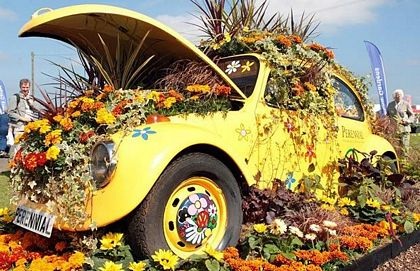 Những hình ảnh ấn tượng trong tuần - 11