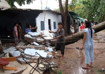 Cuồng phong quật đổ nhiều cây to tại TPHCM - 5