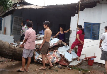 Cuồng phong quật đổ nhiều cây to tại TPHCM - 8