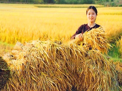 Đi nước ngoài oai... oái - 1 Đi nước ngoài oai... oái - 1