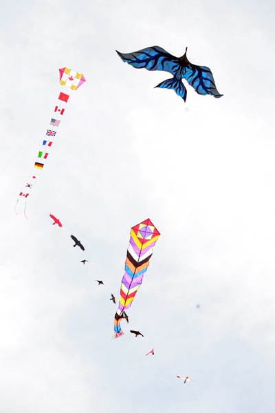 Festival biển 2009 sặc sỡ những cánh diều - 6 Festival biển 2009 sặc sỡ những cánh diều - 6