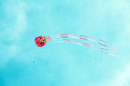 Festival biển 2009 sặc sỡ những cánh diều - 3 Festival biển 2009 sặc sỡ những cánh diều - 3