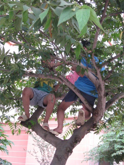 Thiếu chỗ chơi, trẻ ra đường... hít bụi - 11