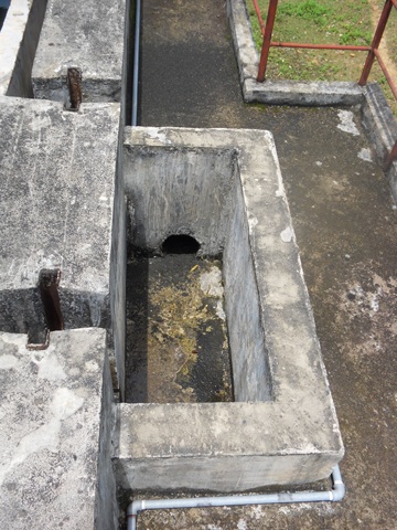 Bỏ xó 12 tỉ đồng - 10