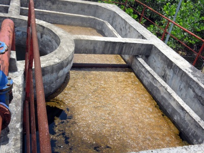 Bỏ xó 12 tỉ đồng - 11