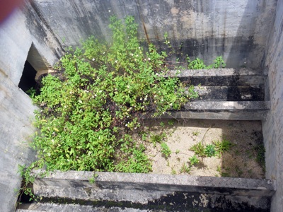 Bỏ xó 12 tỉ đồng - 7